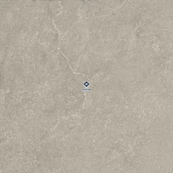 Gạch Ấn Độ 60x60 Kem Vân Đá Fresco Grigio Bề Mặt Mờ