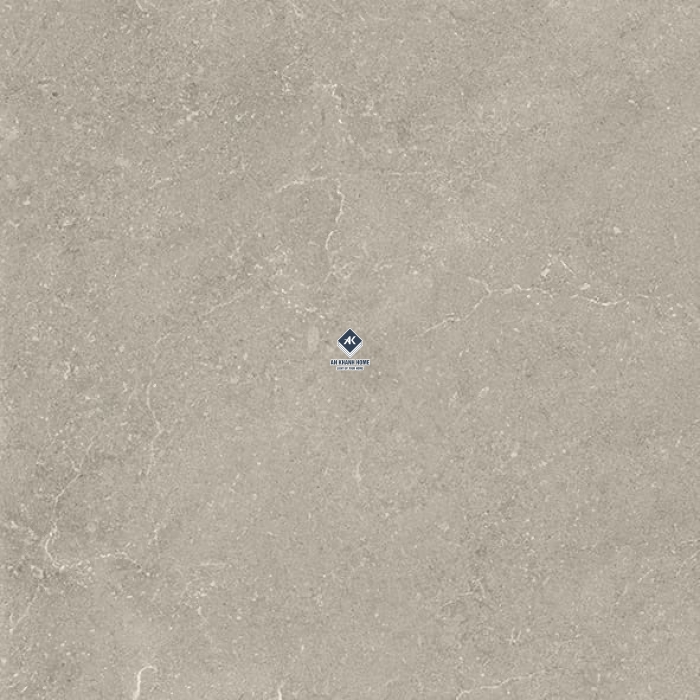 Gạch Ấn Độ 60x60 Kem Vân Đá Fresco Grigio Bề Mặt Mờ