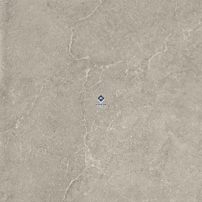 Gạch Ấn Độ 60x60 Kem Vân Đá Fresco Grigio Bề Mặt Mờ